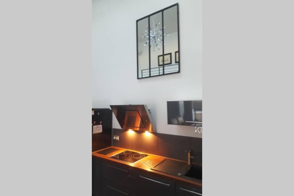 Villa Loft 5* Centre, Terras. Park Babyfoot Clim Velos *